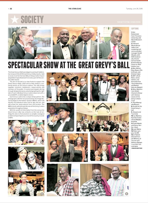 Great Grevy Rally 